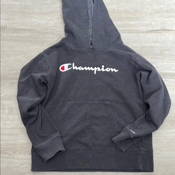 Champion Kids Gray Hoodie - Picture 1 of 1